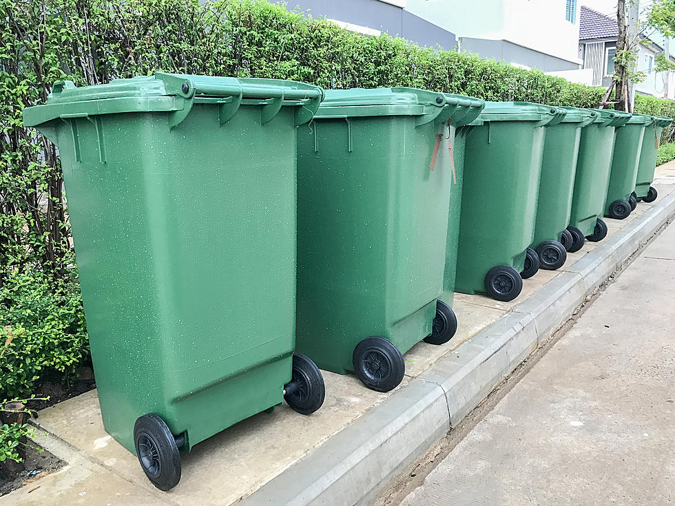 Xtreme Bin Cleaning Pics