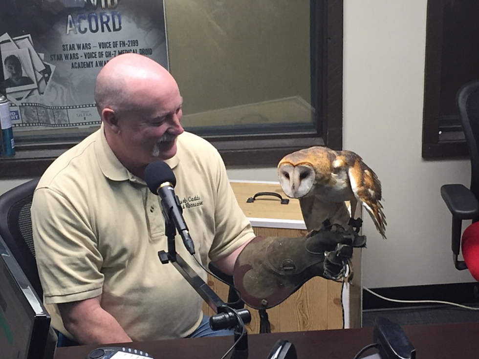 Local Nature Park Plans Special Saturday ‘Owl Event’ [VIDEO]