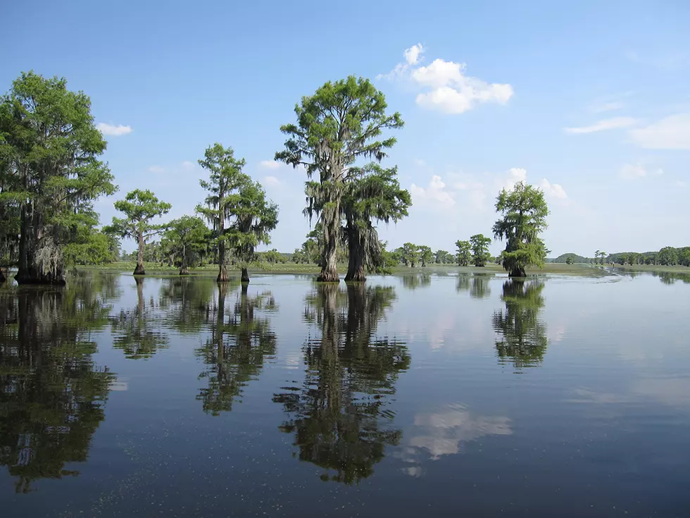 Should Caddo Lake Be Named a National Heritage Area?