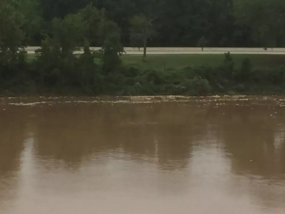 The Red River Looks High, But How Close Is It To Flooding?