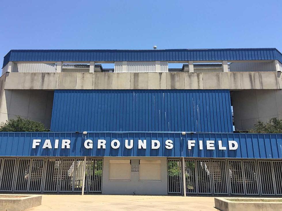 Are The Protections For Bats At Fair Grounds Field A Pile Of Guano?