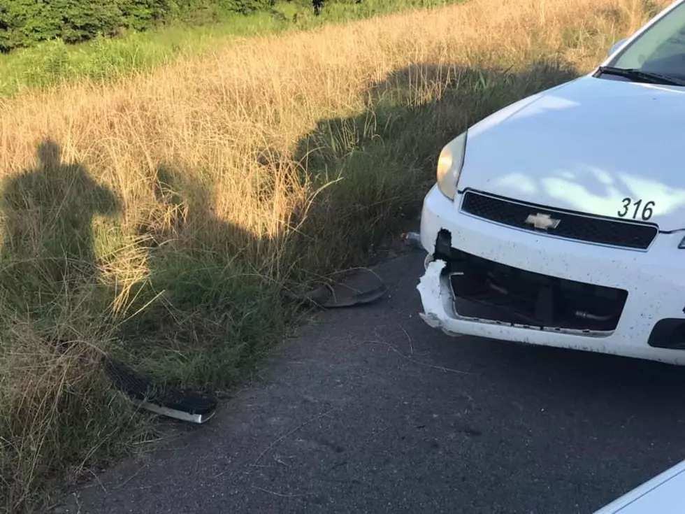 Ornery Alligator Attacks Caddo Deputy&#8217;s Cruiser