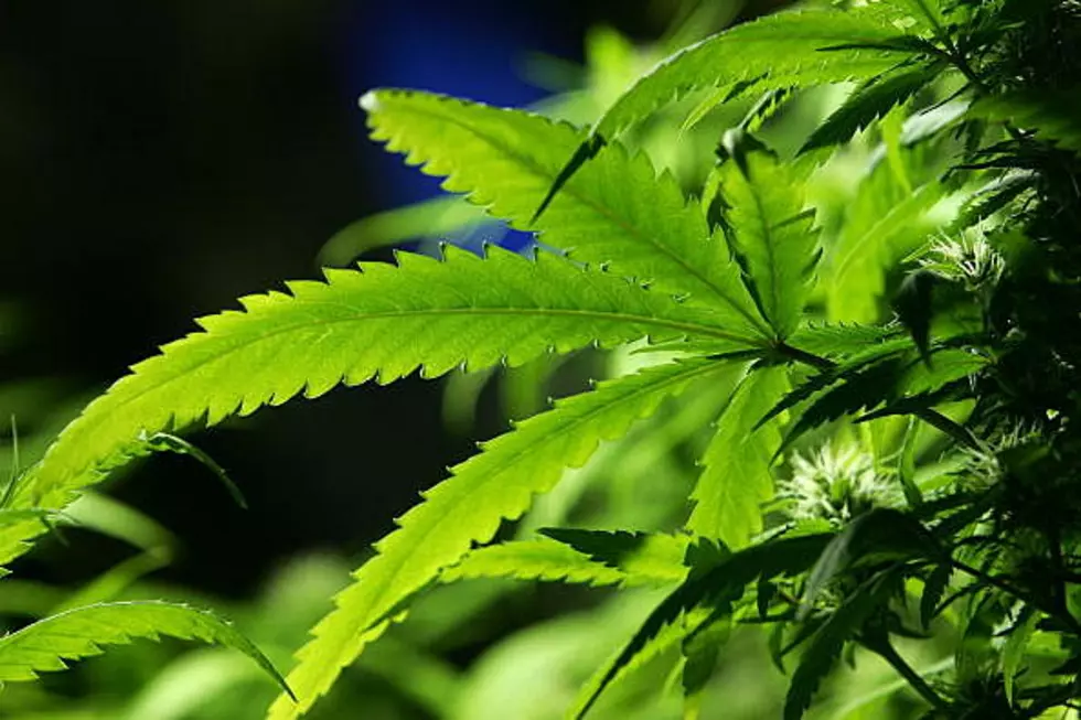 Gov. Signs Marijuana Decriminalization Bill