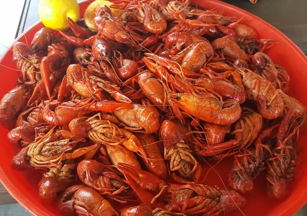 Win a Bud ‘N’ Boil Crawfish Boil For Up to 10 People