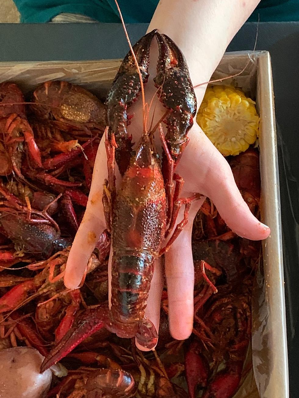 How Much Are Crawfish in Shreveport This Week?
