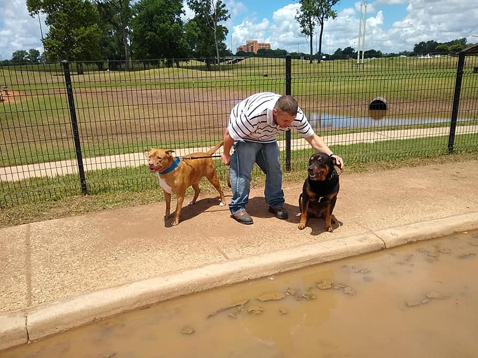 Shreveport Dog Park Is Back Open for Pups