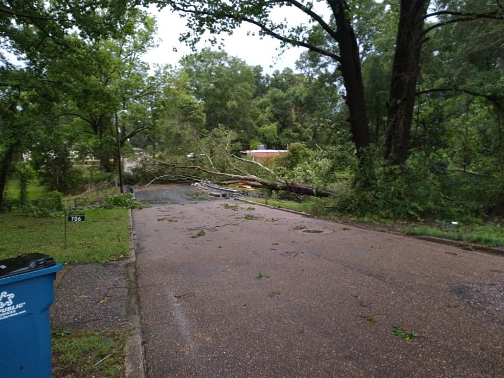 Why You Should Report Your Storm Damage in Shreveport