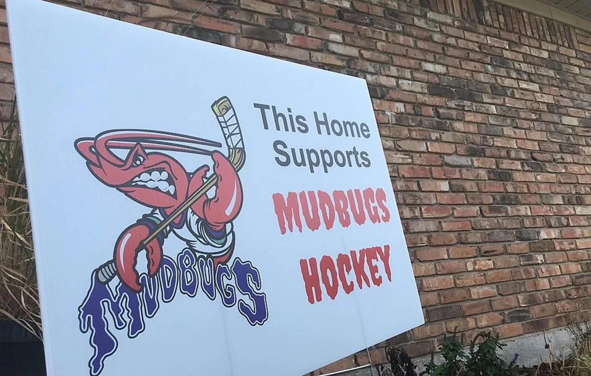 minor league hockey logos mudbugs