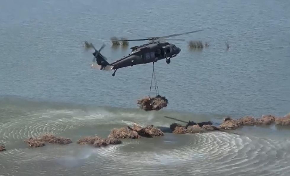 Why Does the Louisiana National Guard Collect Thousands of Old Christmas Trees?