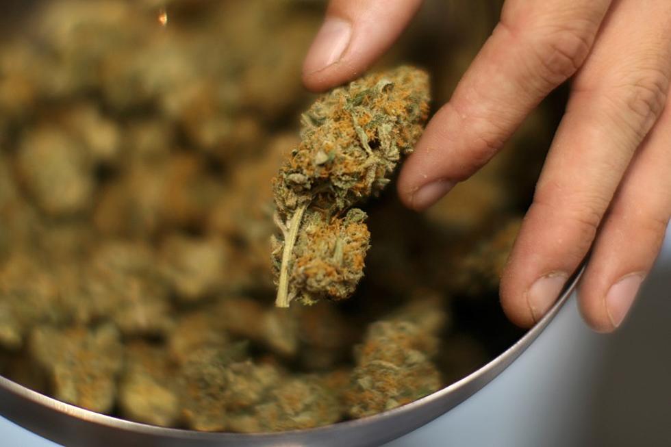 Is Growing More Pot the Answer to Louisiana’s Money Troubles?