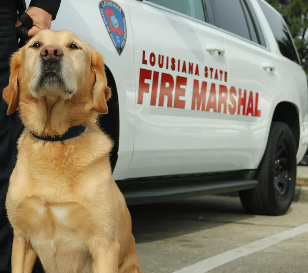 State Fire Marshal’s Office Mourns the Loss of Important Team Member