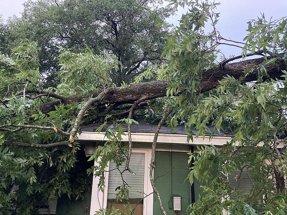 Thousands in Shreveport-Bossier Again Without Power After Storm