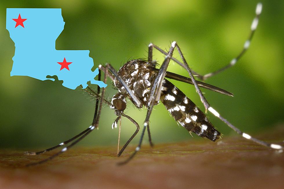 West Nile Case Is Found in Shreveport for 2023