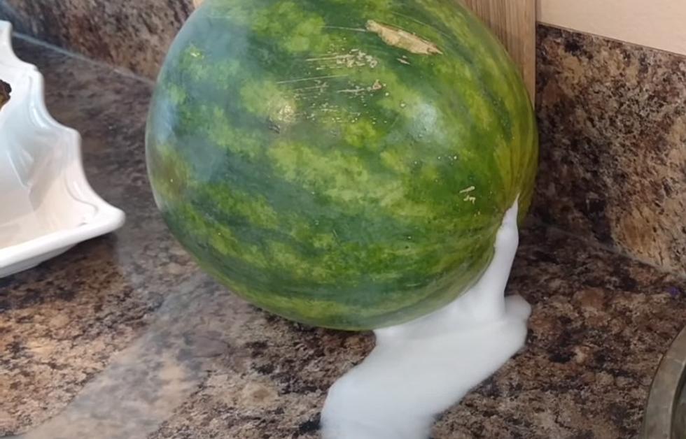 If Your Louisiana Watermelon is Doing This… Get Away Quickly