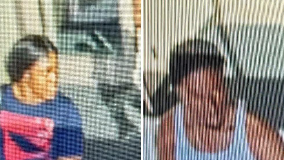 Two Theft Suspects Wanted by Bossier Crime Stoppers