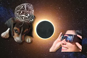 How Will The Eclipse Impact Animals in Louisiana & Texas?