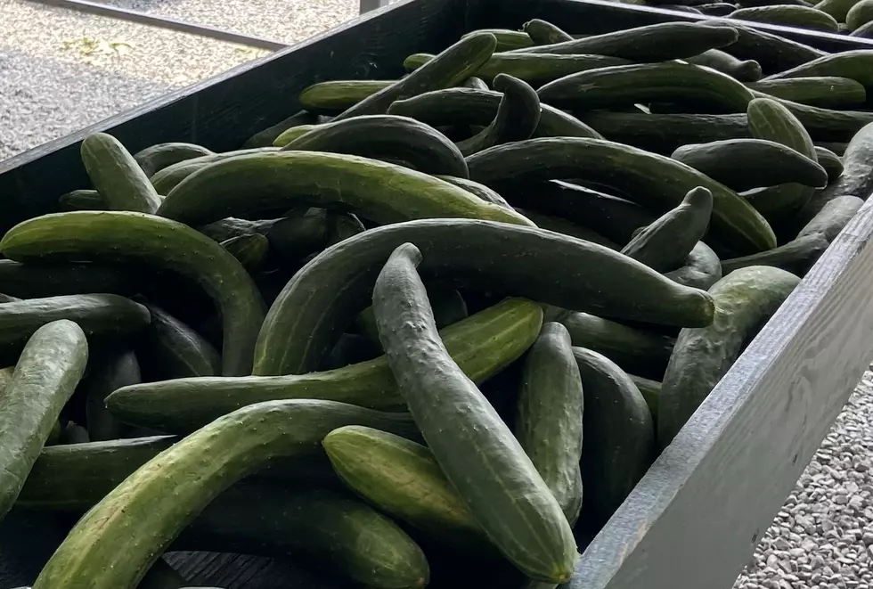 Is Louisiana Included in an Alert About Salmonella in Cucumbers?