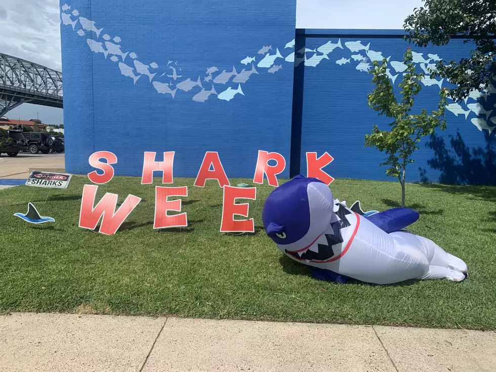 Here’s the List of Shark Week Events Planned in Shreveport