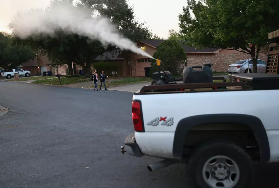 Health Workers Test And Spray For Mosquitos As Texas Prepares For Zika Virus