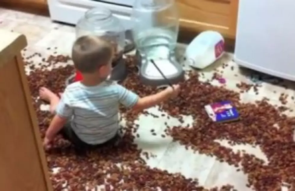 Kid Decides Dog Food Can Be A Toy [VIDEO]
