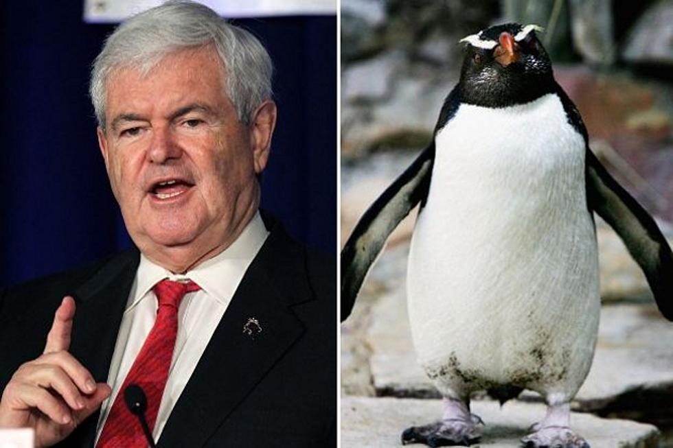 Newt Gingrich Was Bitten By a Penguin