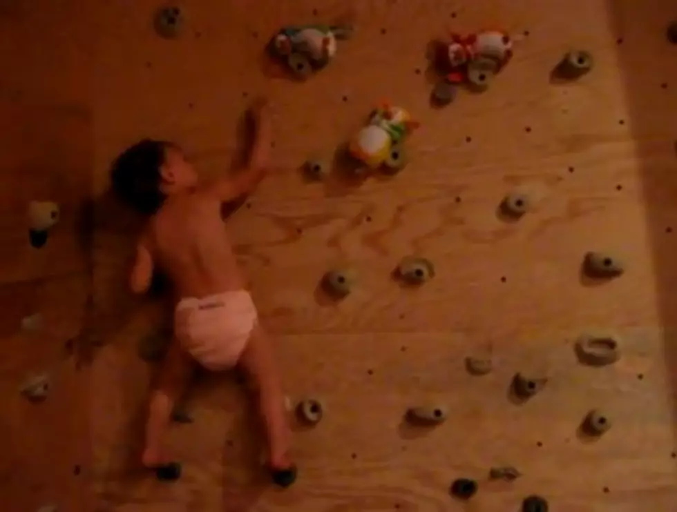 WATCH: Spiderbaby Climes a Rockwall Like its Nothing