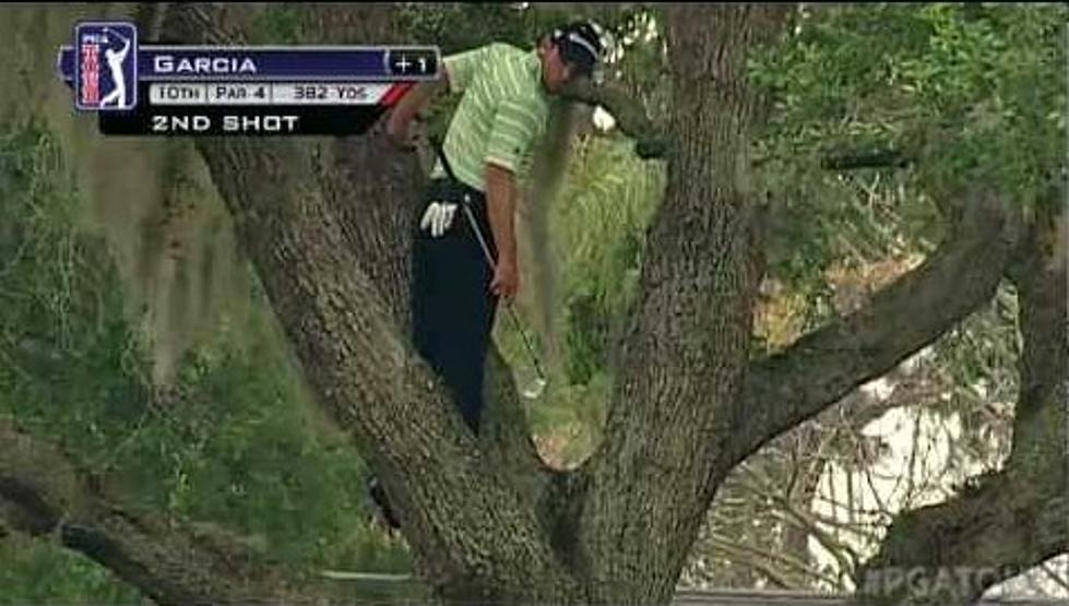 Sergio Garcia Climbs a Tree to Make a Shot During Arnold Palmer Invitational