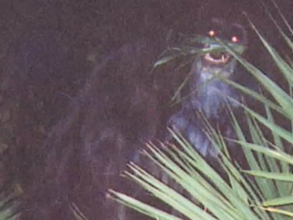 Louisiana’s Bigfoot: Does the Skunk Ape Exist?