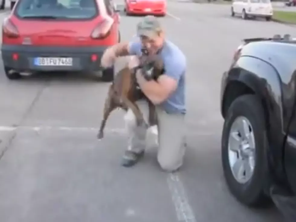 Perfect Veterans Day Video: Joyous Dog Welcomes His Soldier