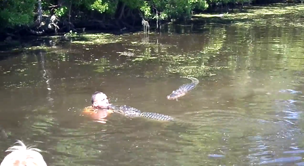 Watch a Louisiana Swamp Tour Guide Swim With Alligators, Feed Them from His Mouth [VIDEO]