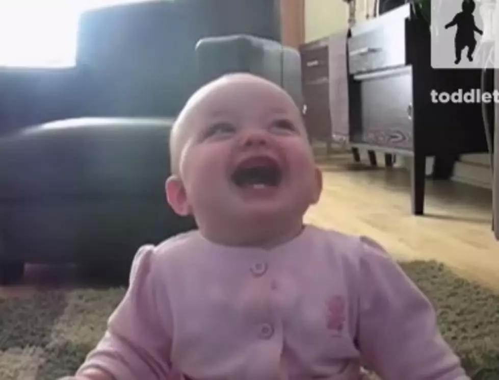 Wet Nose Wednesday – We Dare You Not To Laugh At This Adorable Baby And Her Dog! [VIDEO]