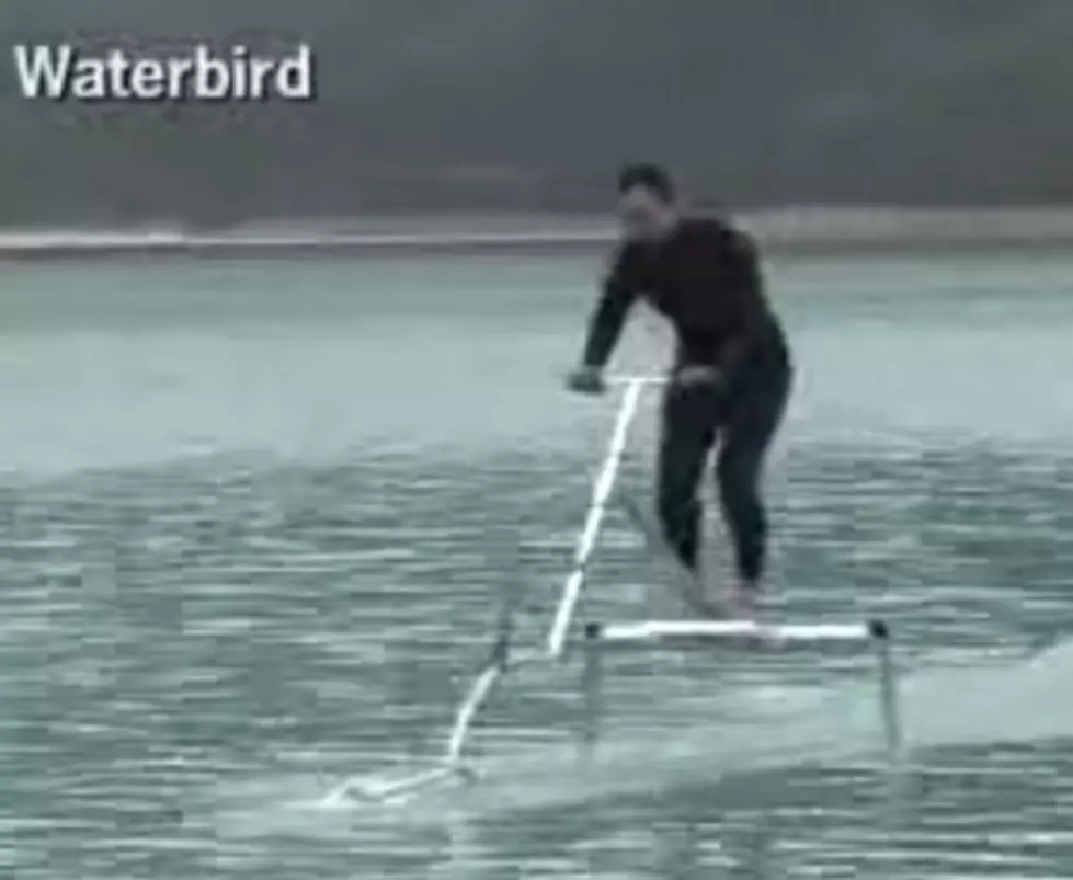 The Waterbird Allows You To Glide On Water With No Power Or Engine! [VIDEO]