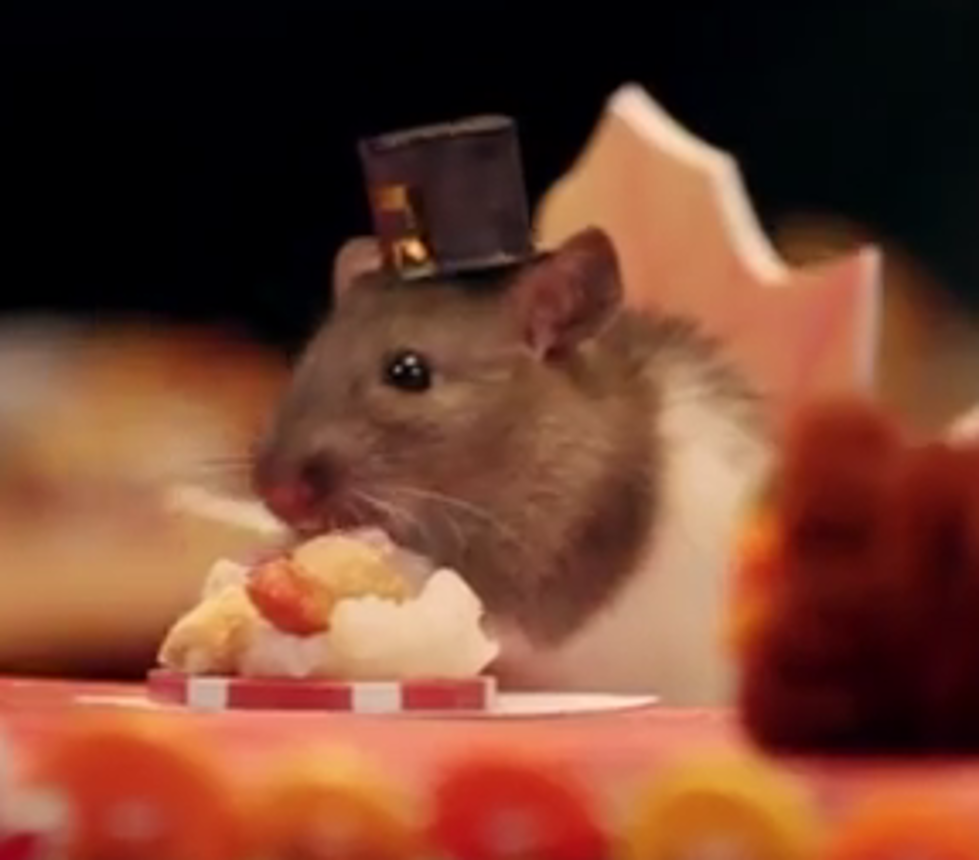 A Tiny Hamster’s Tiny Thanksgiving [Video]
