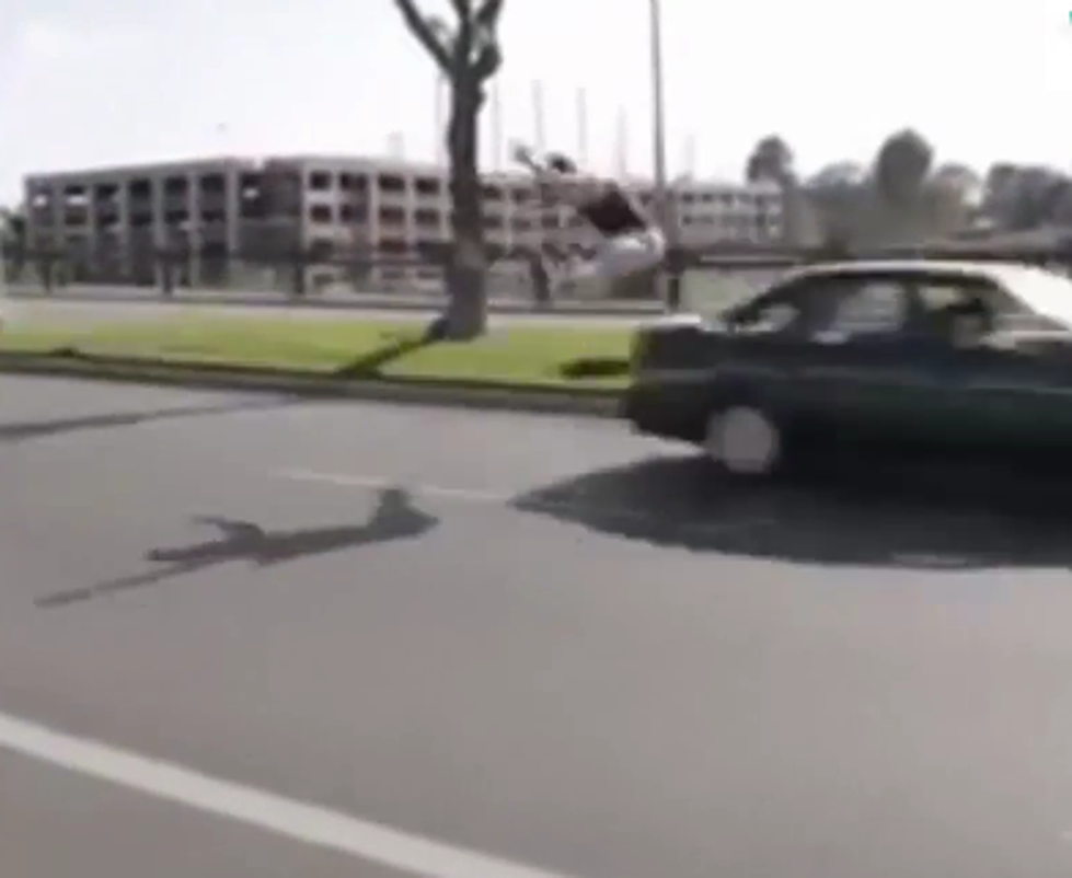Guy Dodges Cars – Is This For Real? [Video]