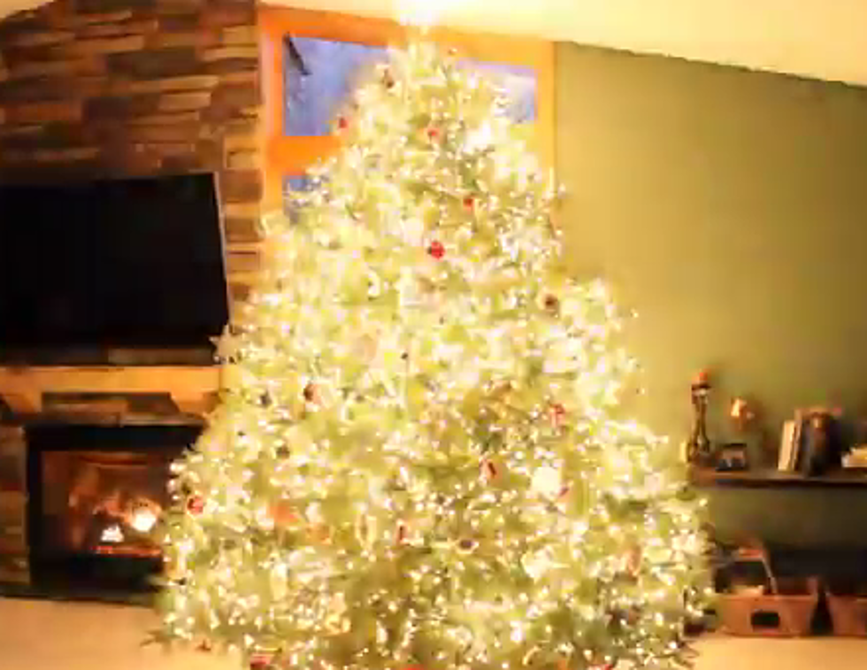 Rockin’ Christmas Tree [VIDEO]