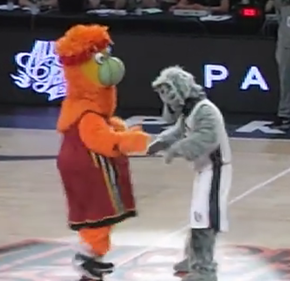 Burnie Vs Sly Fox – Epic NBA Mascot Dance-Off [Video]