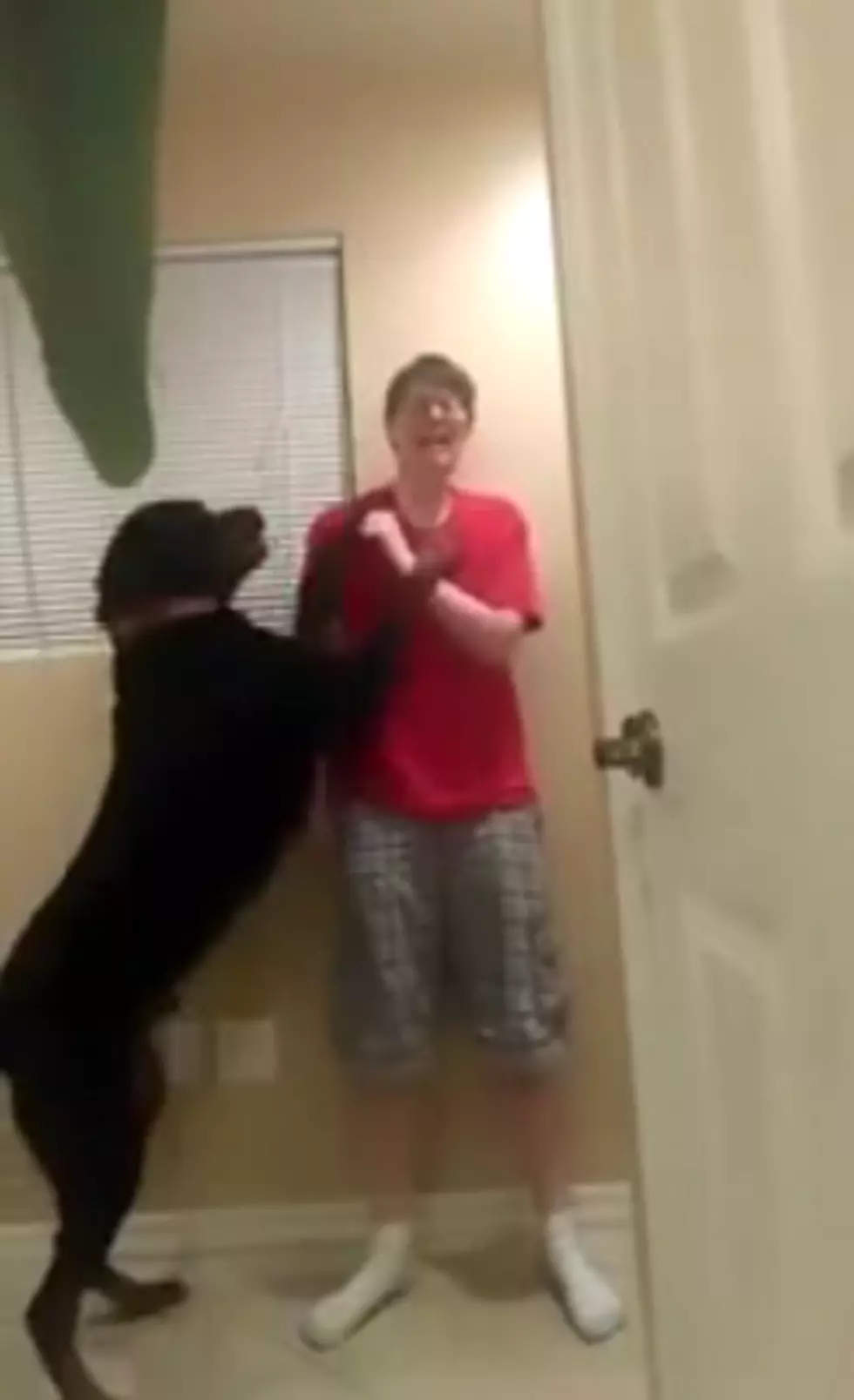 Amazing Service Dog Helps Calm Owner Suffering An Asperger’s-Induced Meltdown [VIDEO]