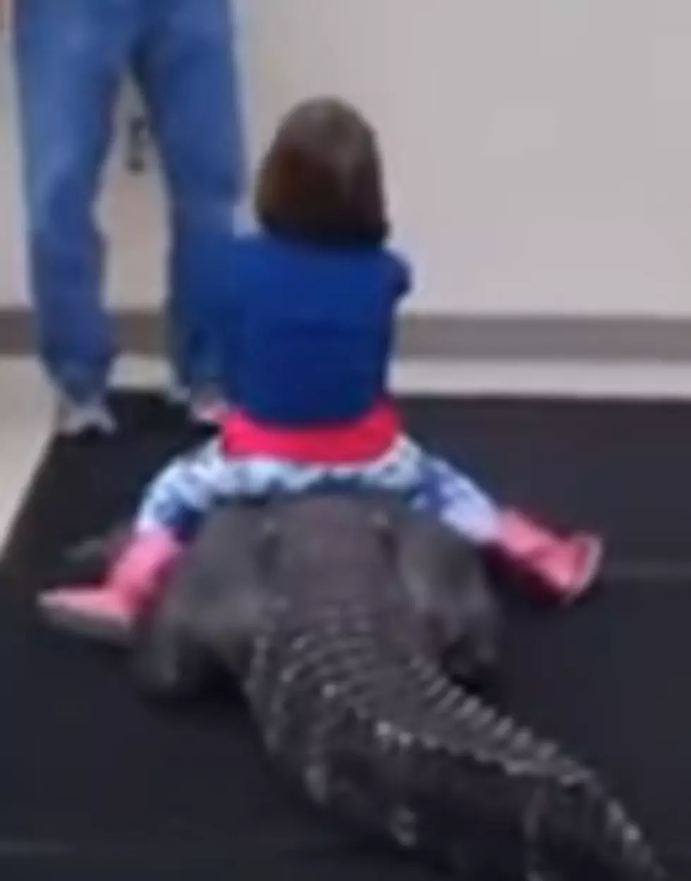 Incredible! Little Girl Rides An Alligator [VIDEO]