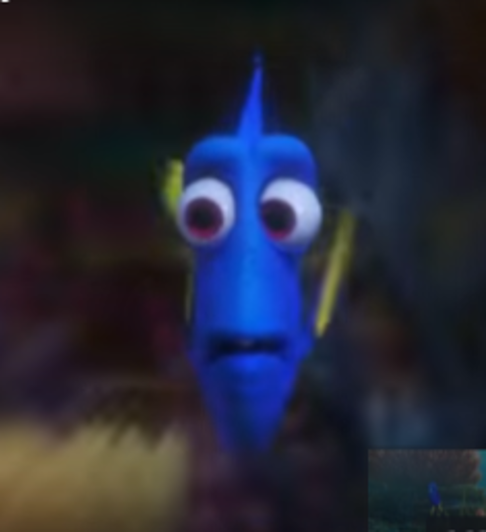 First Look At ‘Finding Dory’ Trailer [VIDEO]