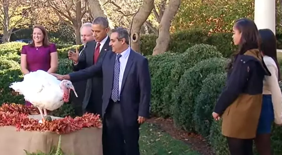 President Obama Pardons Thanksgiving Turkey [VIDEO]