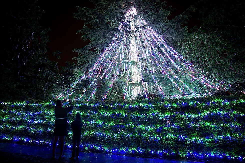 Travel To See The Natchitoches Christmas Lights With Cory And Elizabeth [VIDEO]