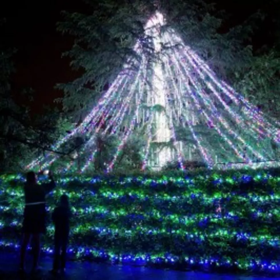 Natchitoches Christmas Lights Winners Announced
