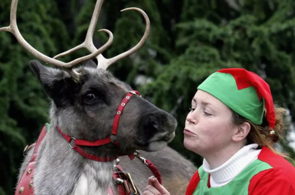 Watch Santa’s Official Reindeer Cam From The North Pole LIVE