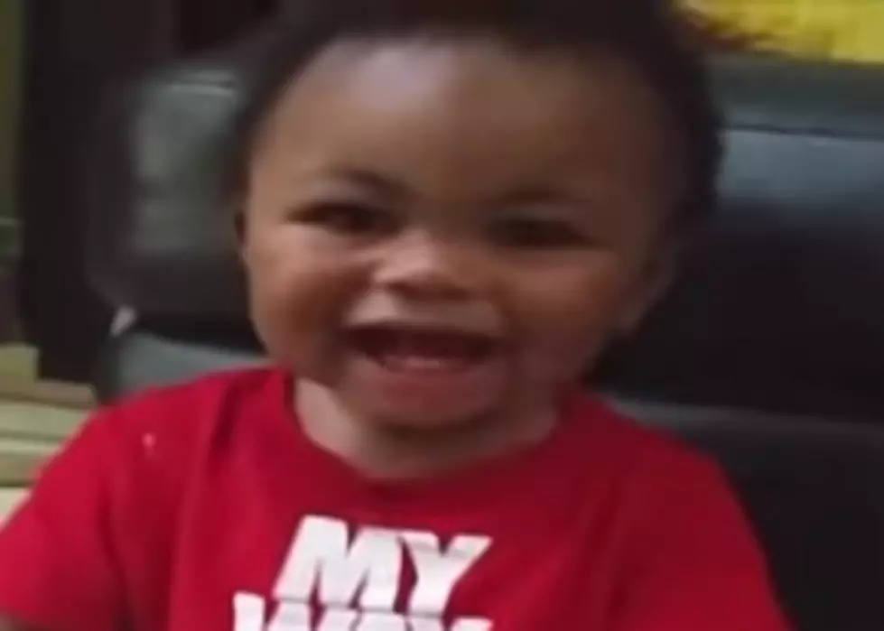 Little Guy Can&#8217;t Stop Laughing At The Word &#8216;Donkey&#8217; [VIDEO]