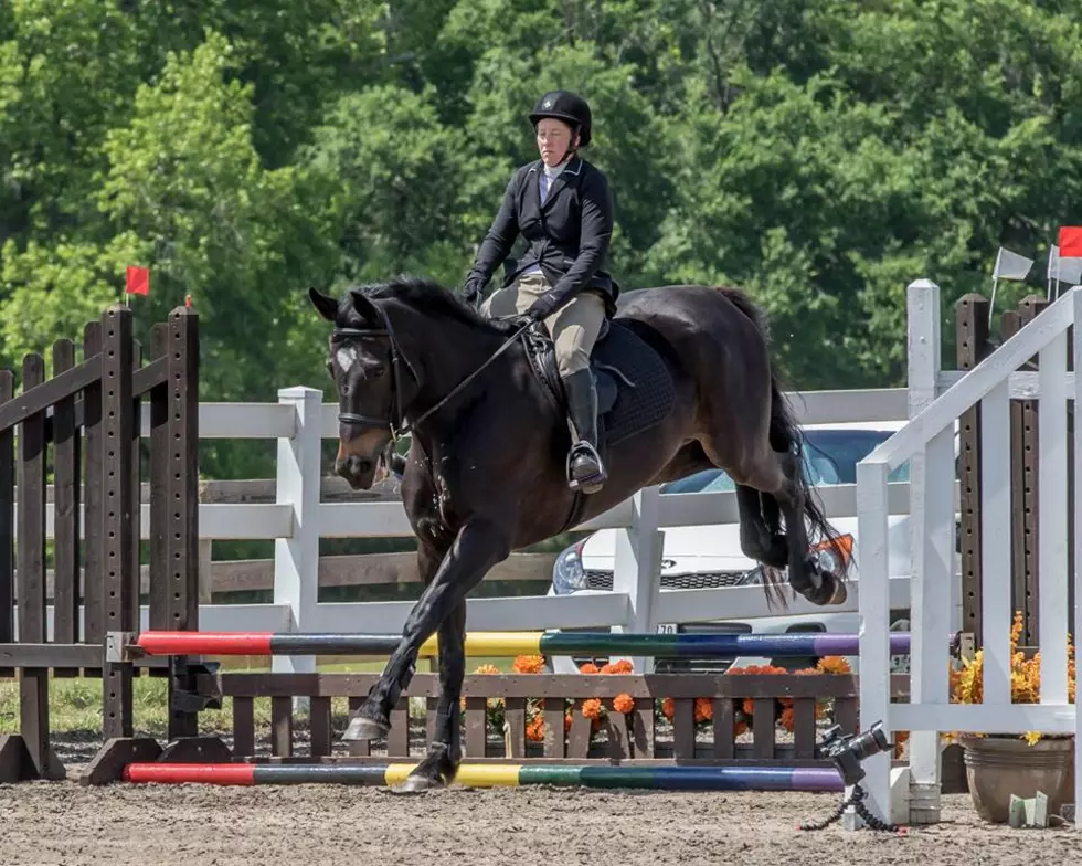 20th Anniversary Holly Hill Horse Trials in Benton, LA Are Huge Success! [PHOTOS]