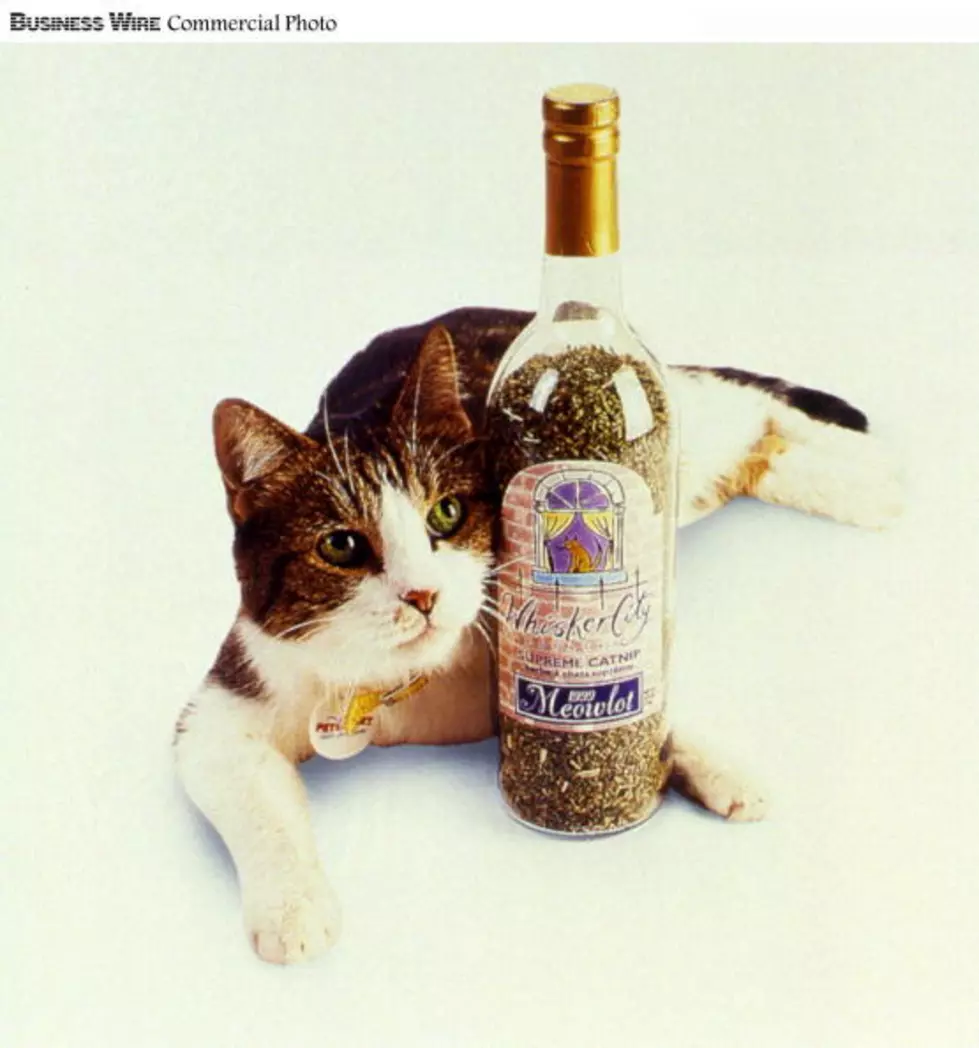 You Can Now Enjoy A Glass OF Wine With Your Cat