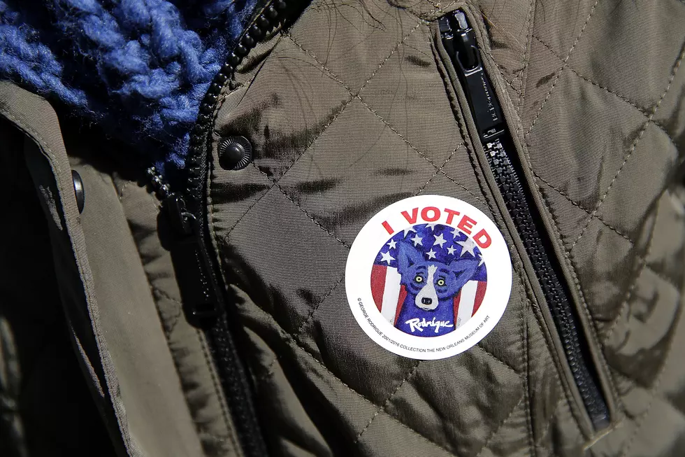 Blue Dog ‘I Voted Sticker’ Touted By Secretary Of State Schedler