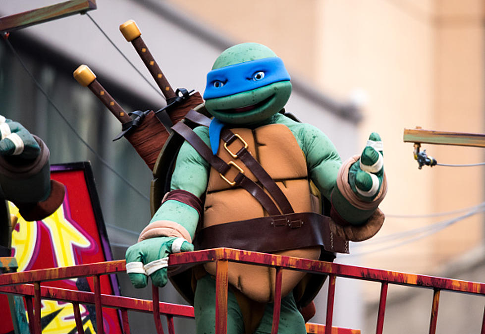 Movies And Moonbeams: Teenage Mutant Ninja Turtles