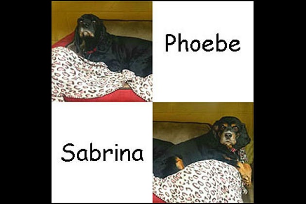 Bristol&#8217;s Babies: Meet Phoebe and Sabrina