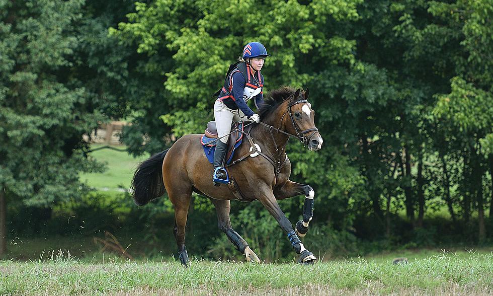 Eventers from Across the Nation Will Converge in Benton This Weekend for the Holly Hill Horse Trials [VIDEO]